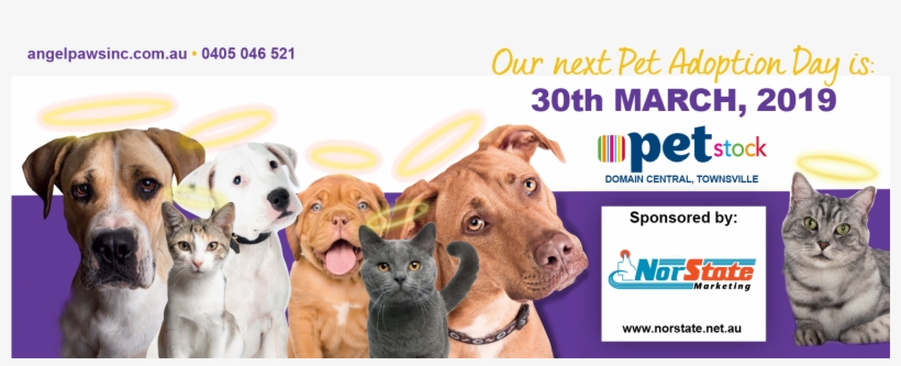 Introducing Angel-paws Inc - Dog Licks, transparent png download