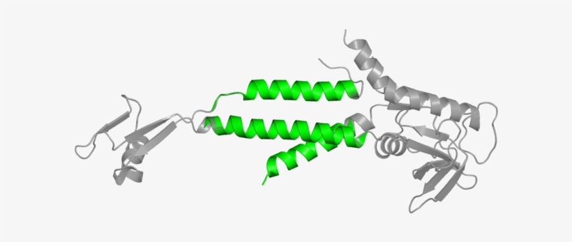 <div Class='caption-body'>1 Copy Of Cath Domain - Gun Barrel, transparent png download