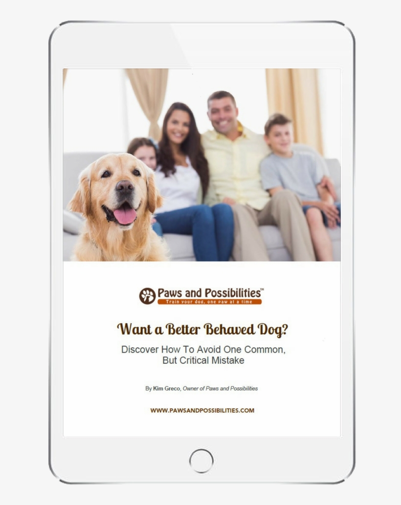 Dog Training - Golden Retriever, transparent png download