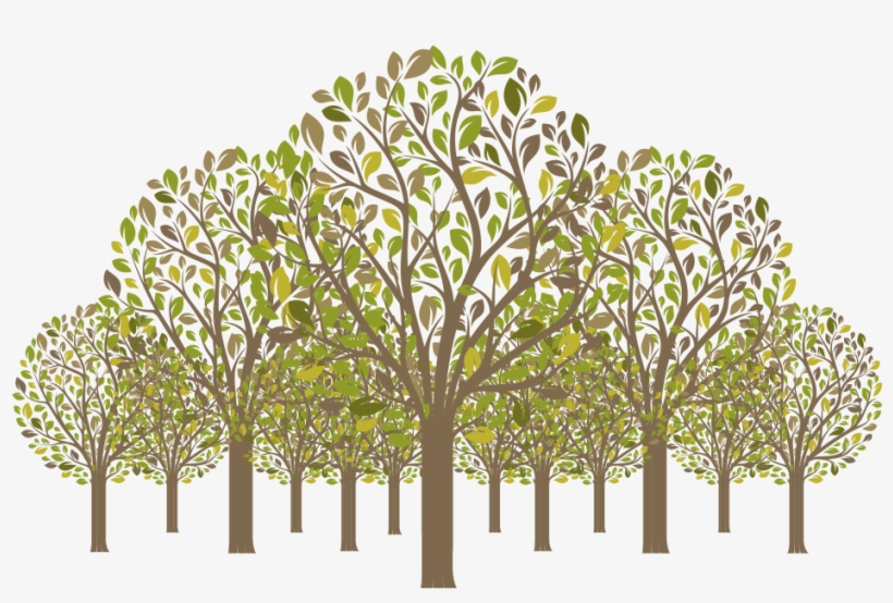 Palm Tree, transparent png download