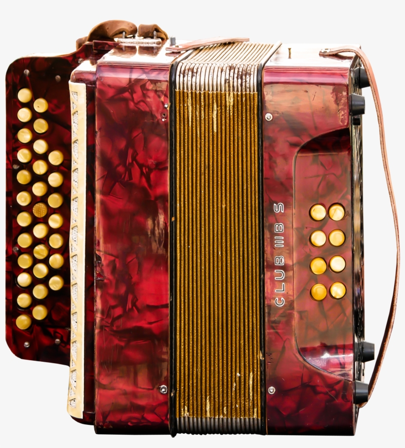 Png Images Accordion (id 19039) - Acordeones Parrot De Botones, transparent png download