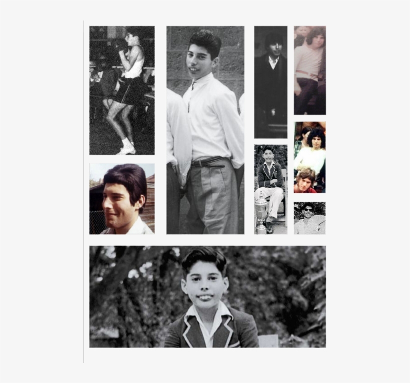 Freddie Mercury - ☀ - St Peters School Panchgani Freddie Mercury, transparent png download