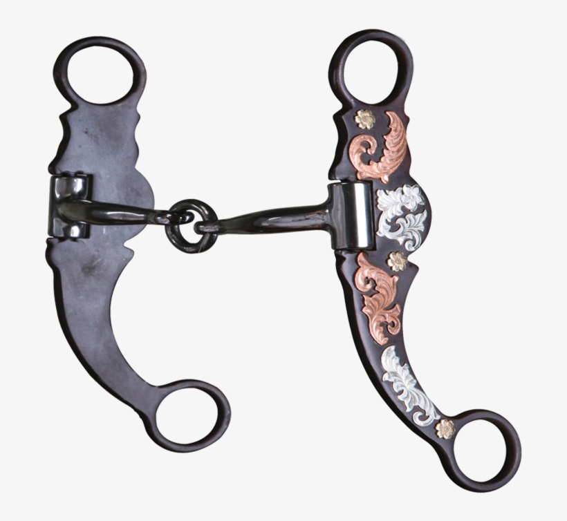 Cactus "c" Shank Bit With Life Saver - Earrings, transparent png download