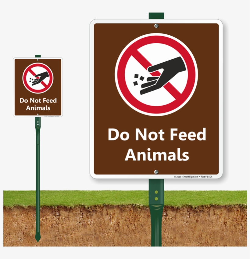 Zoom, Price, Buy - Please Keep Pets Off The Landscaping, transparent png download