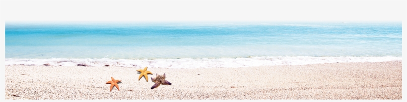 Beach With Star Fish - Sand, transparent png download