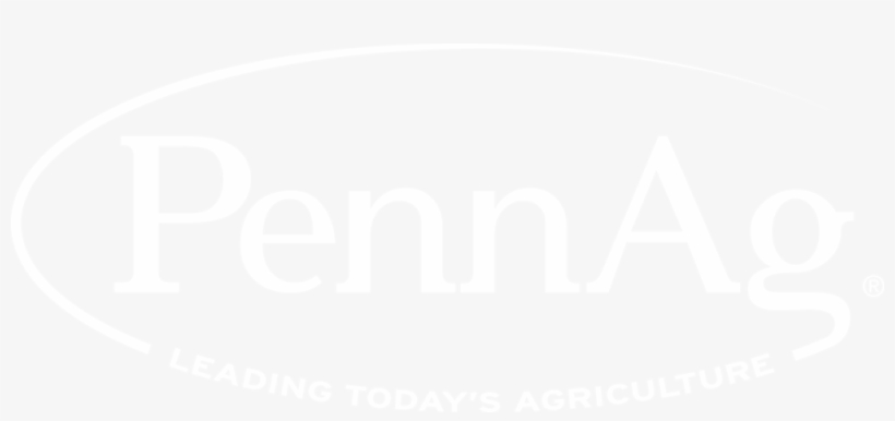 Pennag Logo White - Spotify White Logo Png, transparent png download