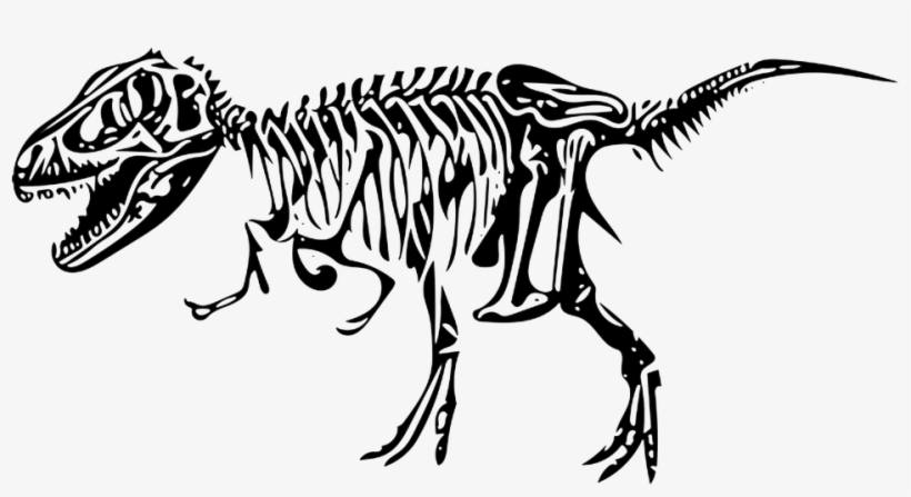 Clipart Black And White Library Clipart Dino Free On - Esqueleto Dinossauro Png, transparent png download