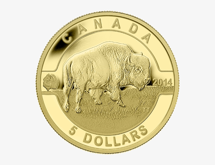 Canada Goose Coin, transparent png download