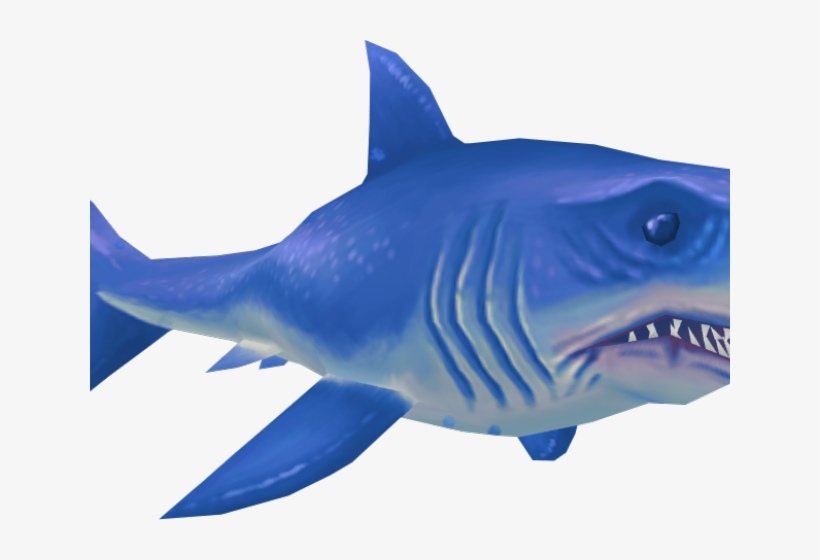 Last Viewed Post - Tiger Shark, transparent png download