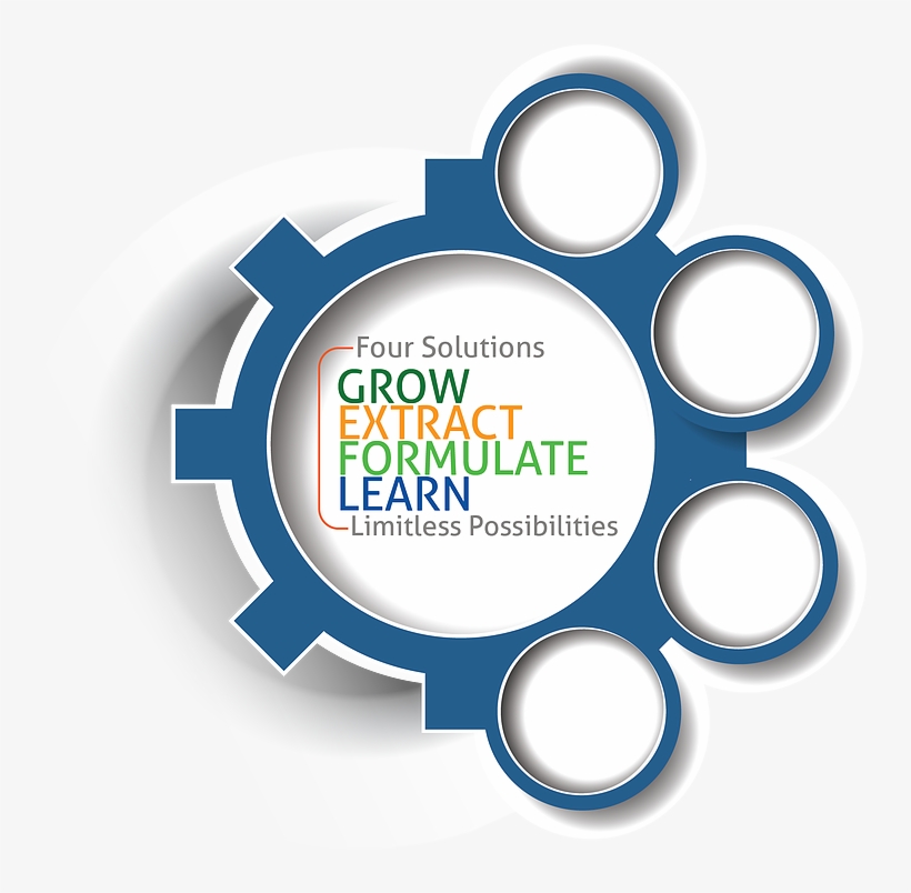 Choose Your Solution - Circle, transparent png download