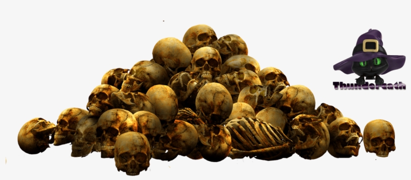 Attalea Speciosa, transparent png download