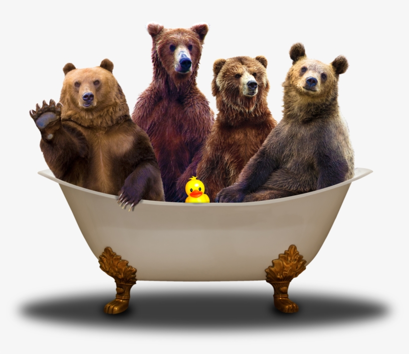 Bears In Bath Fin - Bears In A Bath, transparent png download