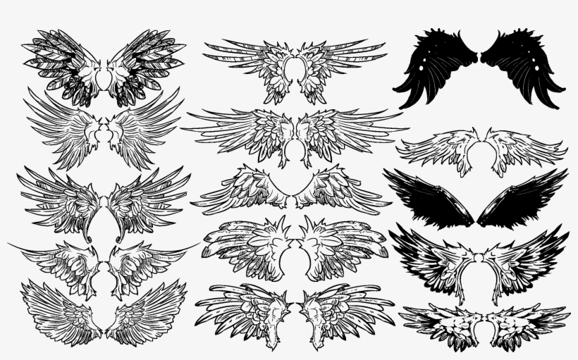 Vintage Wings Vector Set Wings Up Reference Transparent PNG