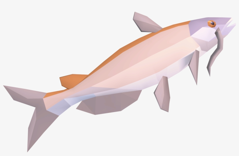 Catfish Is A Cooked Raw Catfish Which Can Be Caught - Dolphin, transparent png download