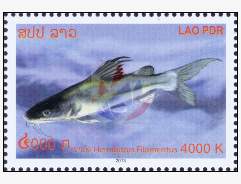 Catfish Of The Mekong - Mekong Giant Catfish, transparent png download