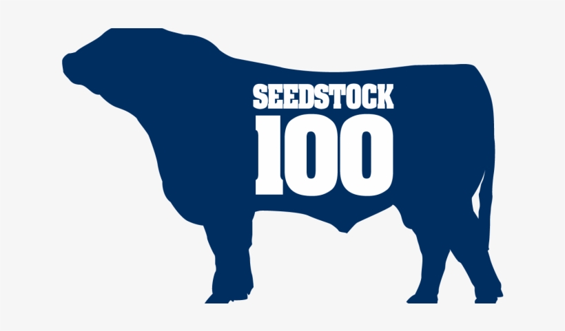 2019 Seedstock, transparent png download