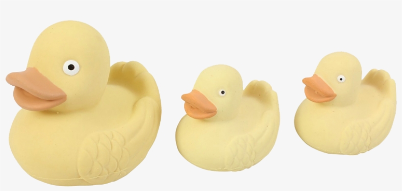 Bath Toy, transparent png download