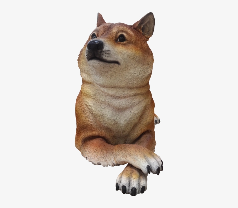 Doge - Hokkaido, transparent png download