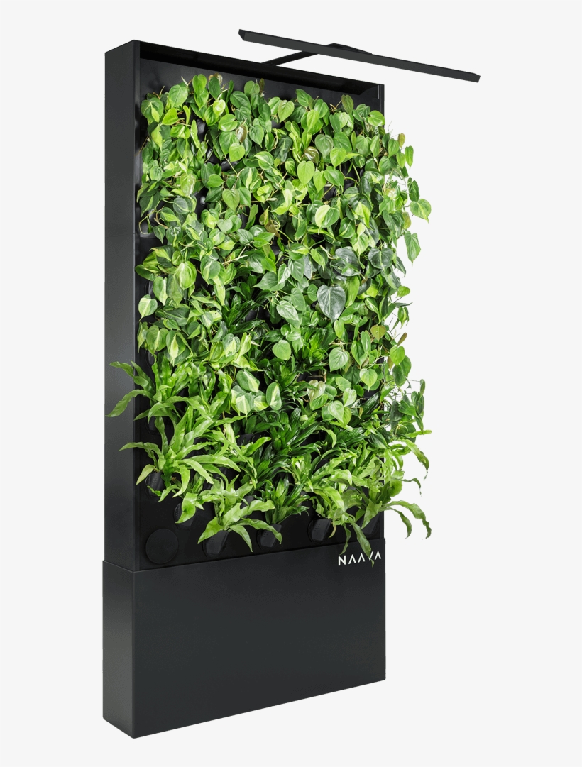 Naava One Slim Graphite Black Oblique Vertical Garden - Houseplant, transparent png download