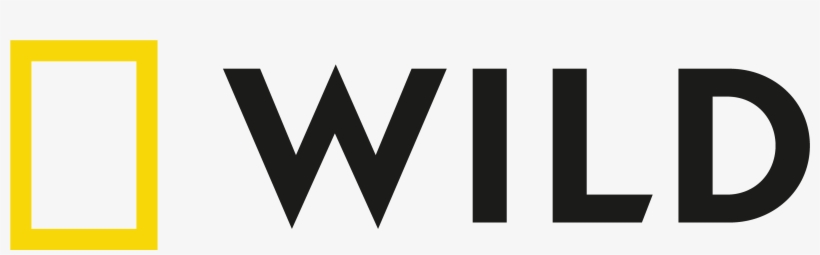 Tele Alleen Abonnement Thuis Dat Kan Voordelig Bij - Bajaj, transparent png download