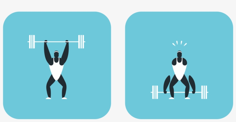 Icons For Comedy Central Latin America / Siguiendo - Graphic Design, transparent png download