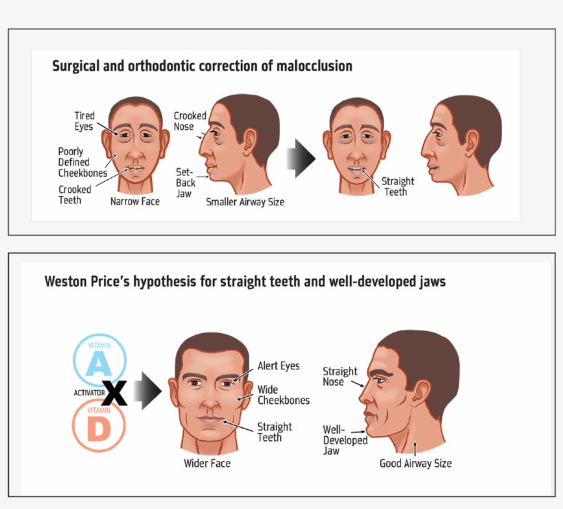 Orthotown Magazine, transparent png download