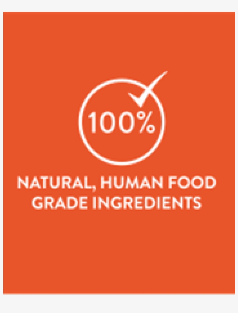 Graphic Design, transparent png download