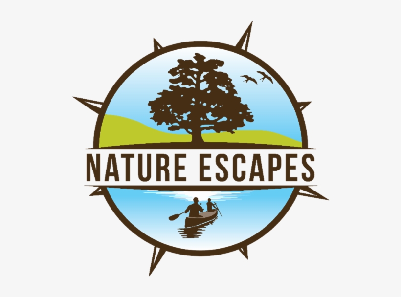 Moon Over Miami - Illustration, transparent png download