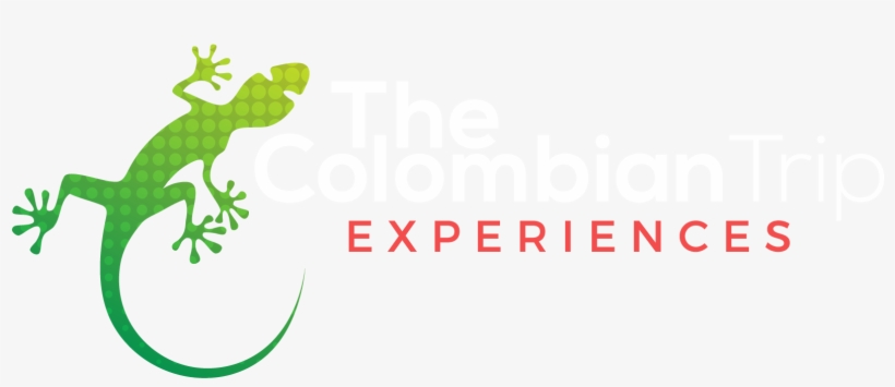 Logo Footer - Green Iguana, transparent png download