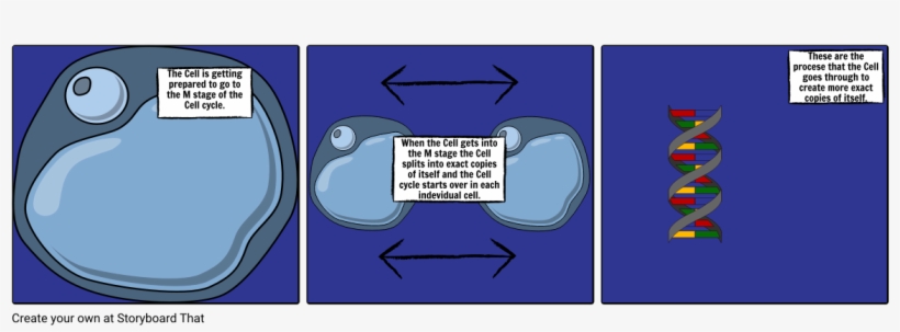 Biology Project Pt2 - Cartoon, transparent png download