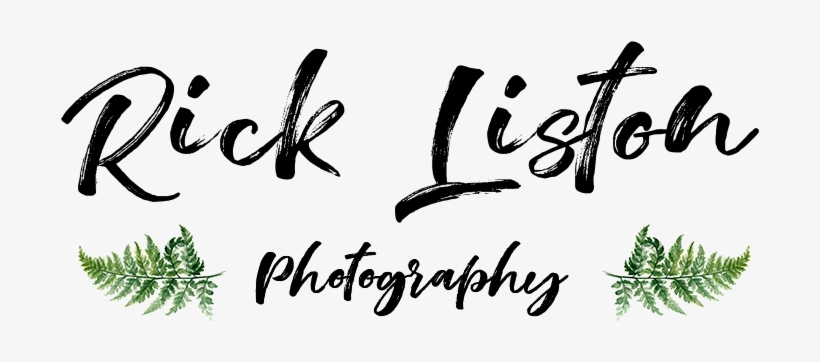 Rick Liston - Calligraphy, transparent png download