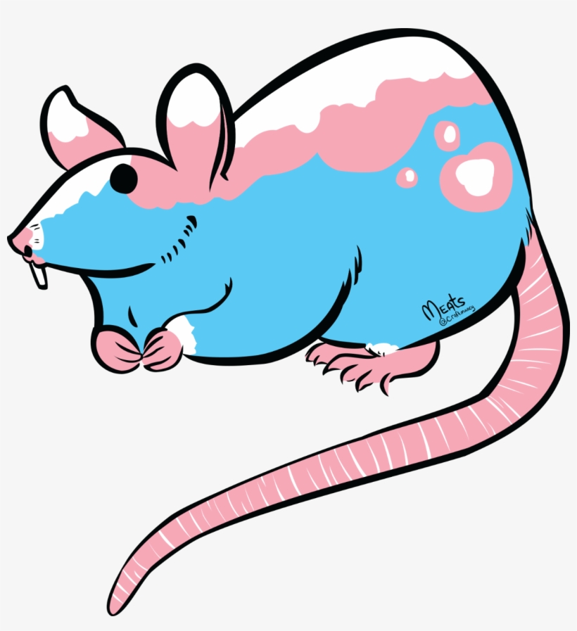 The Trans Rat Design In Its Transparency Form, transparent png download