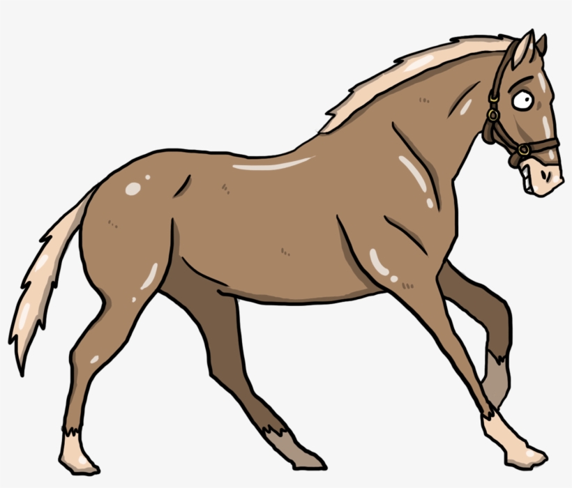 Sorrel, transparent png download