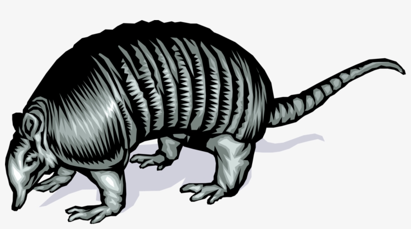 Vector Illustration Of Fully Armored Armadillo With, transparent png download