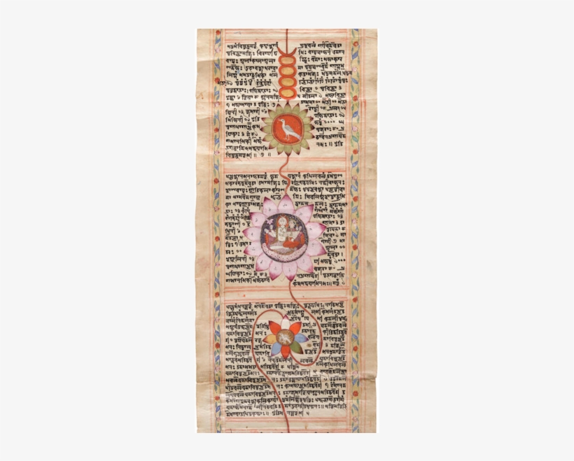 Download - Whole Grain, transparent png download