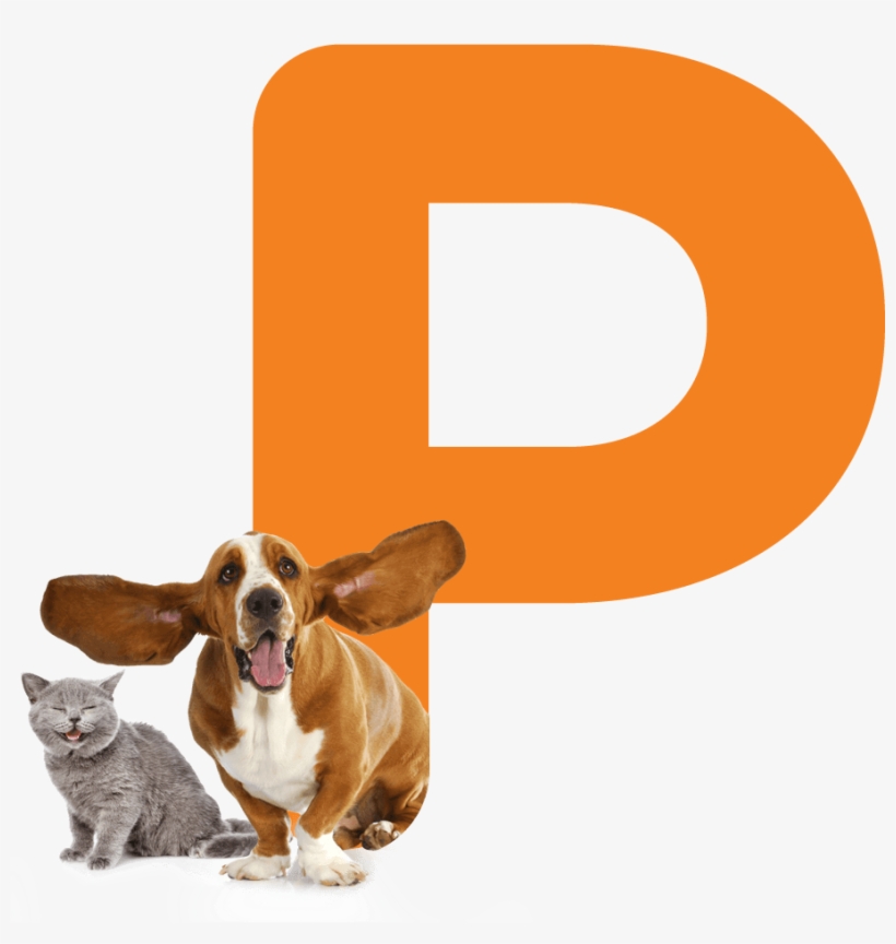 Pet Lovers, transparent png download