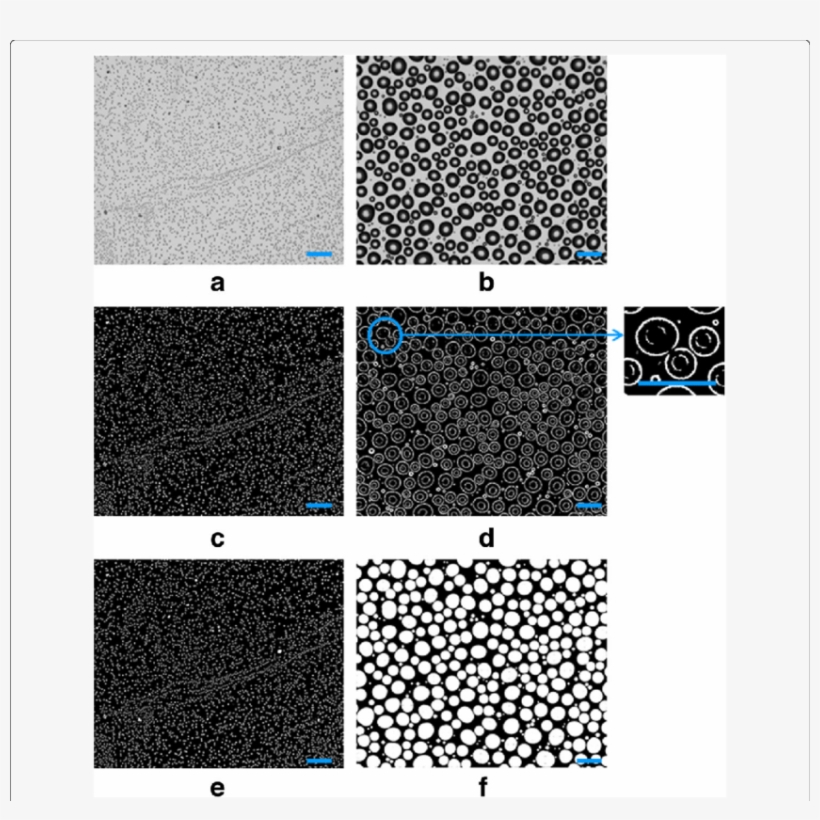Exemple Pictures Of A Condensation Test Illustrating - Floor, transparent png download