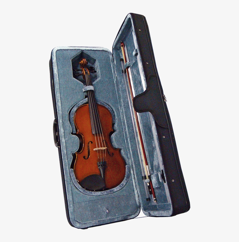 Viola, transparent png download