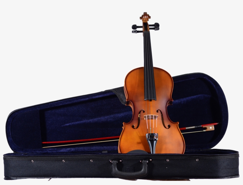 Ca 100 Viola And Case - Viola, transparent png download