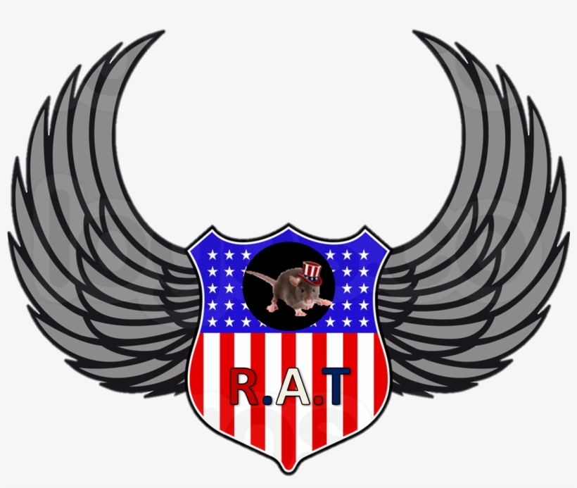 You All Might Be Wondering, “why Exactly Is There A - Usa Shield, transparent png download