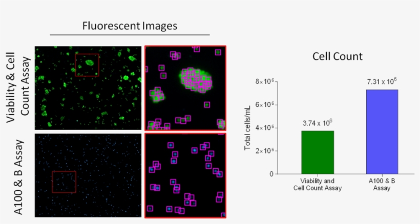 Picture1-1024x490 - Diagram, transparent png download