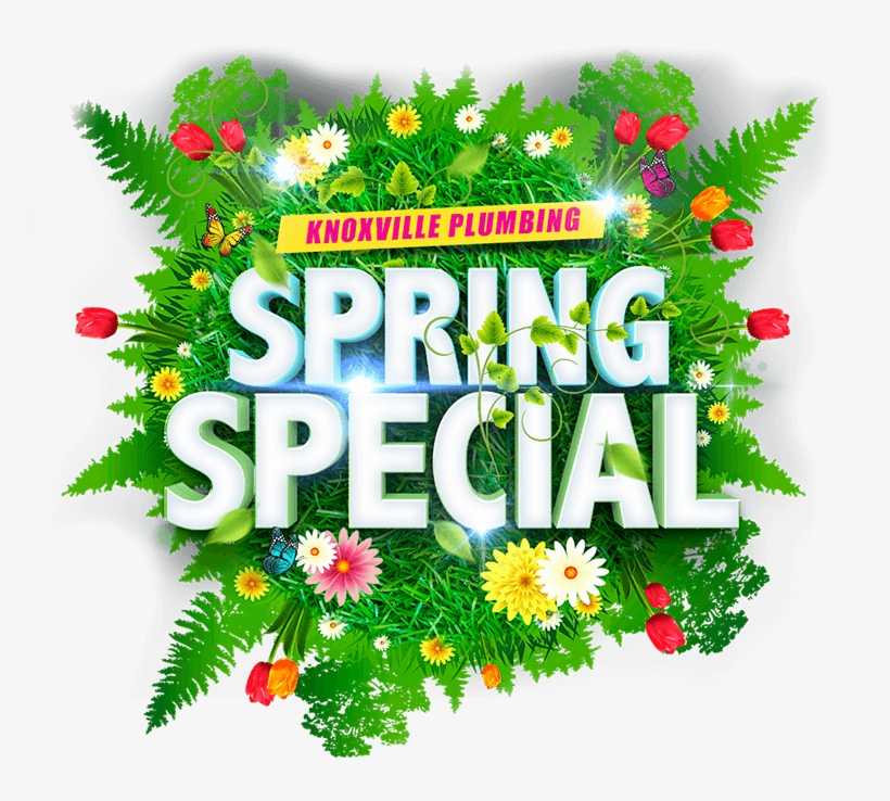 Spring Cleaning Offer Includes - Chrysanths, transparent png download