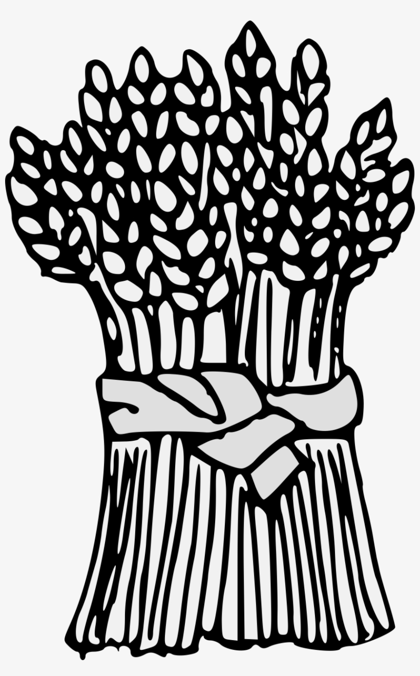 Details, Png - Line Art, transparent png download