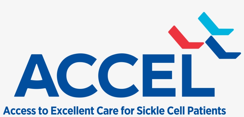 Access To Excellent Care For Sickle Cell Patients Pilot - Graphic Design, transparent png download