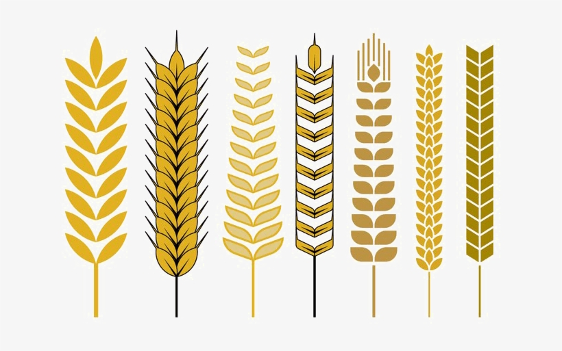 Cereal Vector Png Free, transparent png download