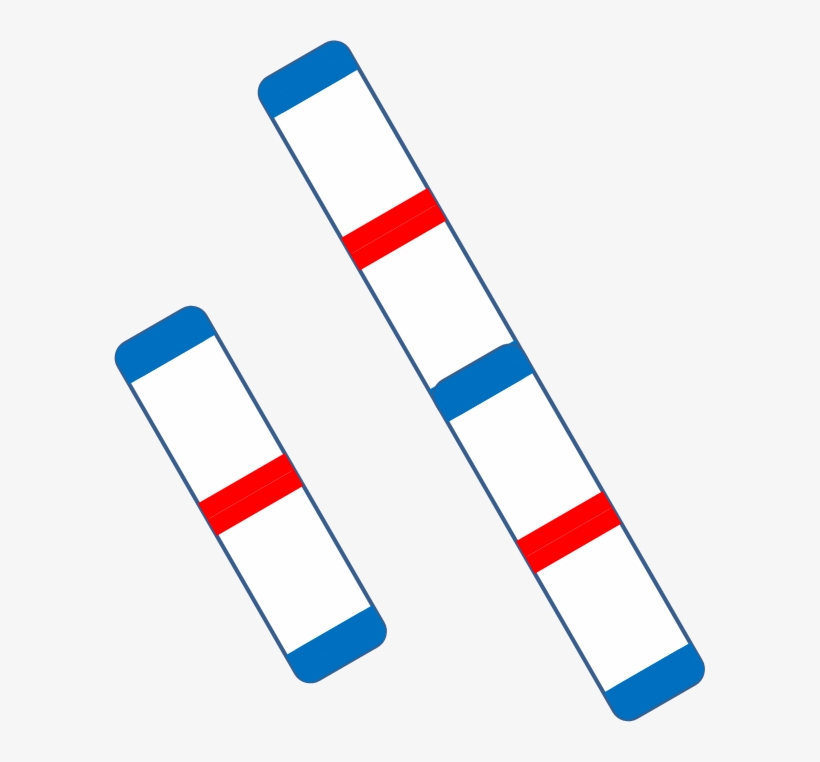 Clip Art, transparent png download