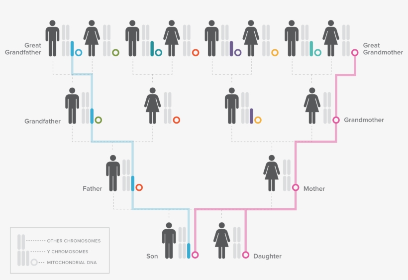 V Illustration2 - Millennium Park, transparent png download
