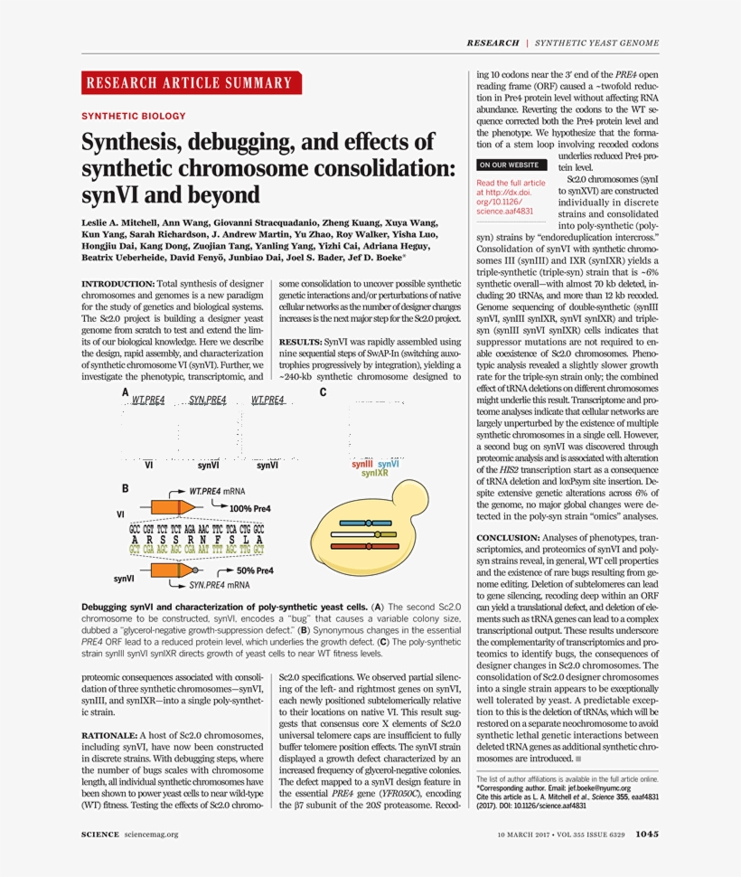 Back Issues - Sample Statement Of Purpose, transparent png download