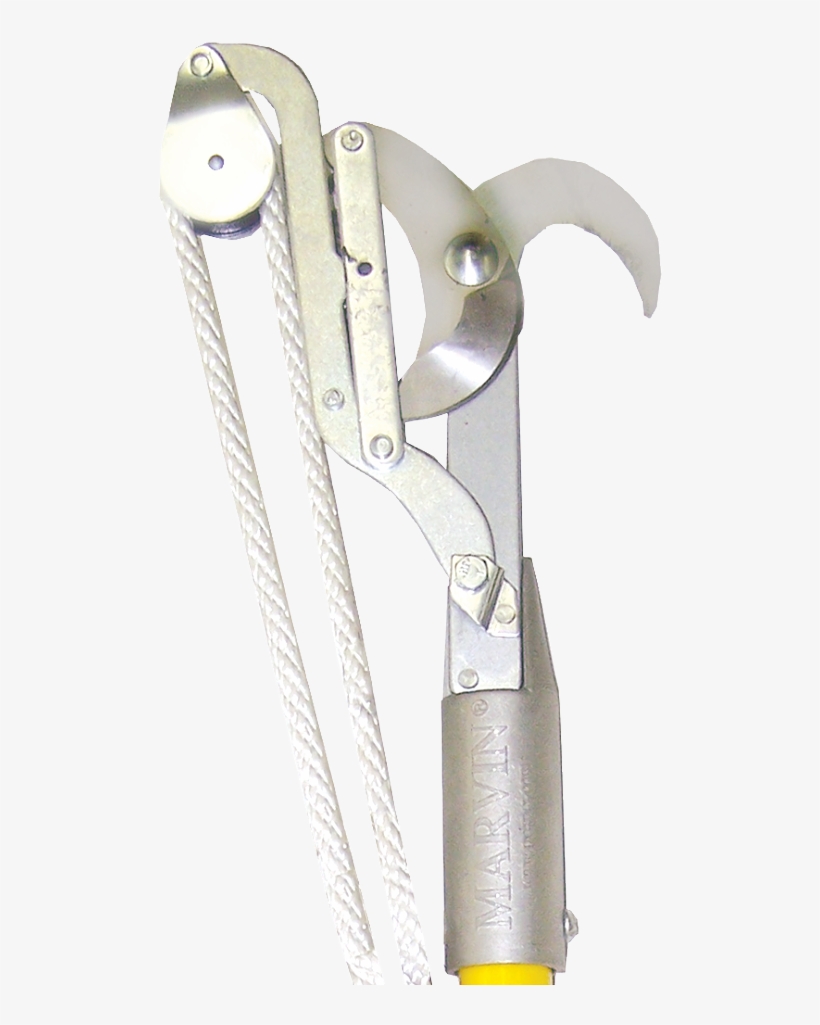 Pr Ph5 Ph5 Marvin Bull Pruner Head - Marvin Pruner Head, transparent png download