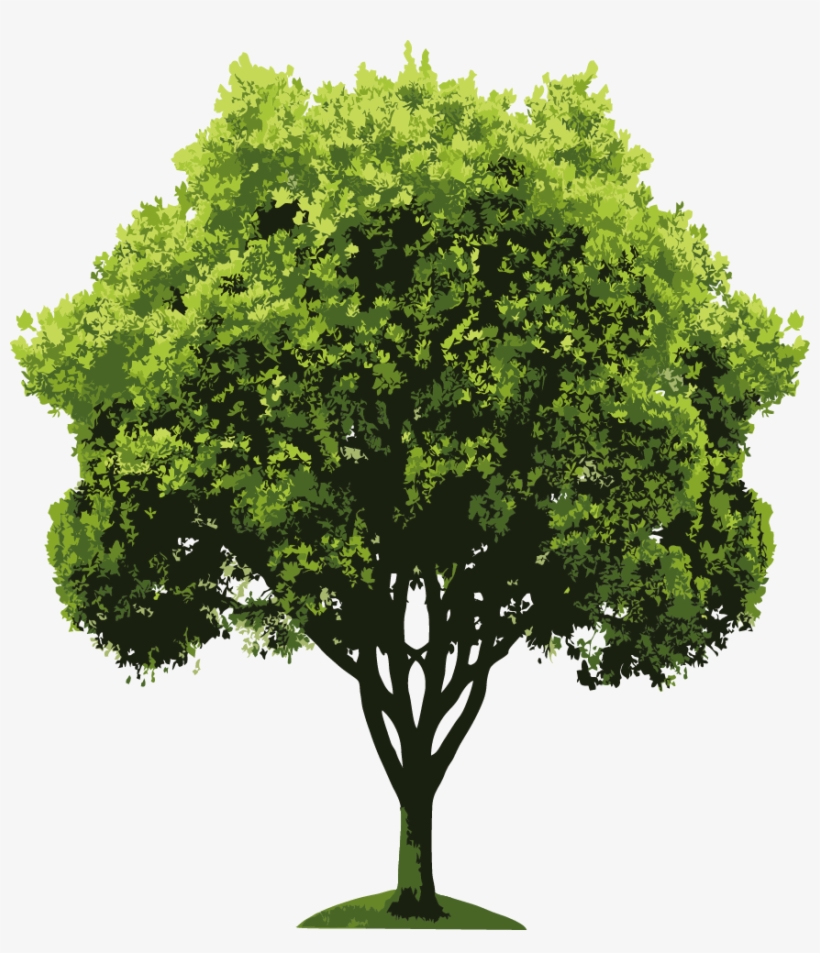Descarregar - Tree Rendering, transparent png download